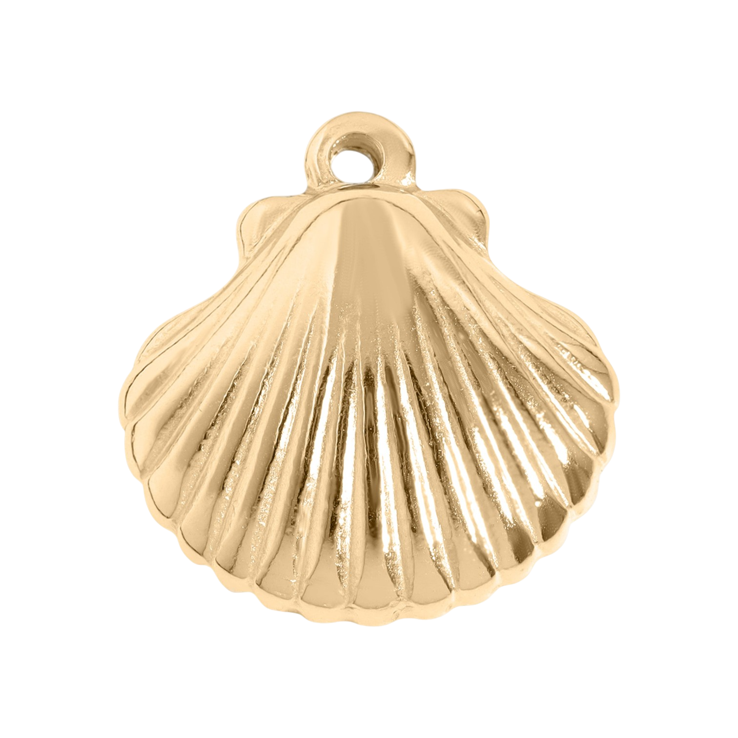 Tengerparti kagyló charm 18K arany PVD bevonattal, óceáni elegancia
